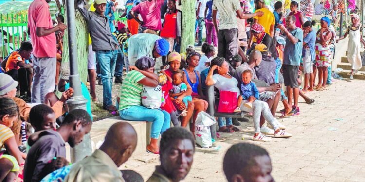 ONU aclara no planea abrir campos de refugiados en el territorio dominicano