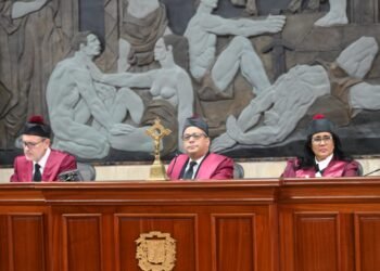 Tribunal Constitucional conoce siete expedientes que atacan ley que crea DNI