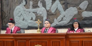 Tribunal Constitucional conoce siete expedientes que atacan ley que crea DNI