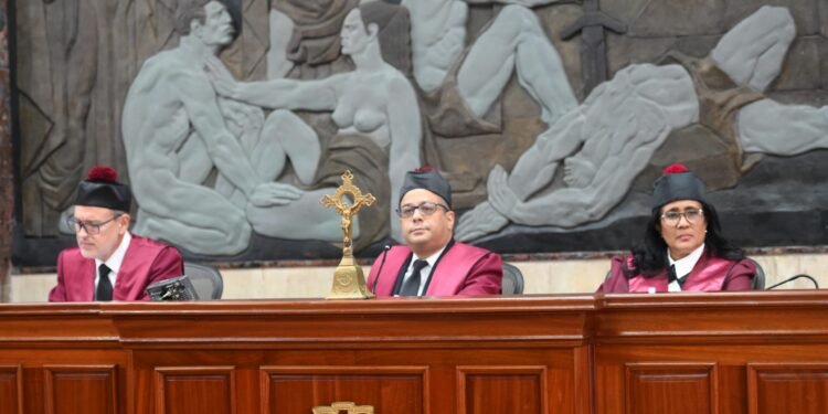 Tribunal Constitucional conoce siete expedientes que atacan ley que crea DNI