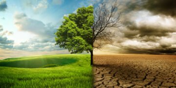 El cambio climático «diezmará las economías del G20», advierte responsable de ONU Clima