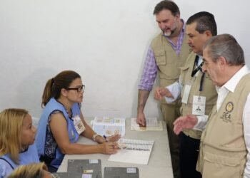 Jefe Misión OEA califica de cívico proceso electoral