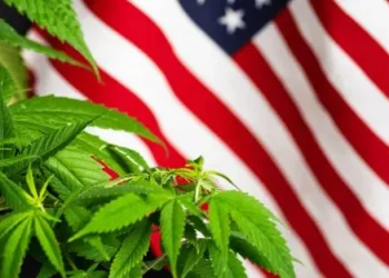 EEUU dará histórico paso al clasificar la marihuana como droga de bajo riesgo