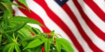 EEUU dará histórico paso al clasificar la marihuana como droga de bajo riesgo