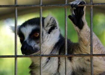 ONU destaca el riesgo de nuevas enfermedades