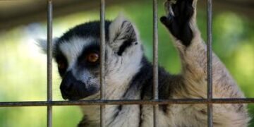 ONU destaca el riesgo de nuevas enfermedades