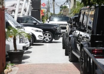 Anadive: práctica de dealers en ocupar espacios públicos daña imagen del sector vehículo