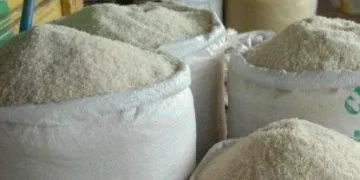 Incrementan precios de productos, el arroz sube entre 5 y 10 pesos la libra.