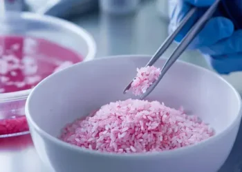 Científicos surcoreanos crean «arroz carnoso» con alto contenido de proteínas