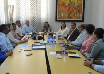 Comisión Organizadora del X Congreso del PLD en sesión permanente