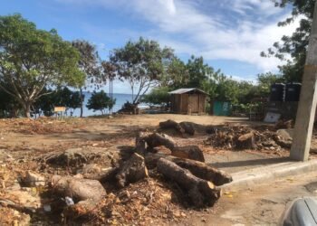 Alcalde de Villa Vásquez y senador electo se enfrentan por crimen ecológico en Buen Hombre