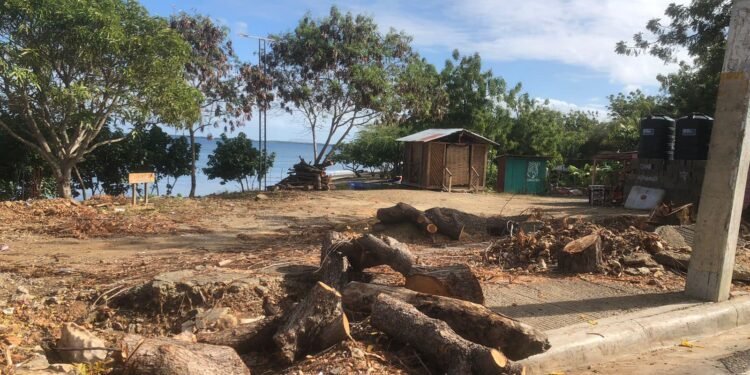 Alcalde de Villa Vásquez y senador electo se enfrentan por crimen ecológico en Buen Hombre