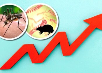 La leptospirosis y el dengue están matando a más gente