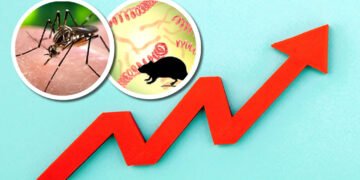 La leptospirosis y el dengue están matando a más gente