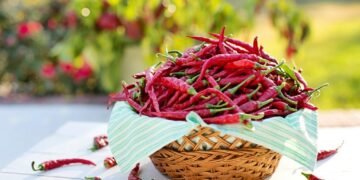 Un efecto inesperado: ¿el chile ayuda a ganar o a perder peso?