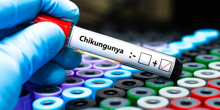 Aprobada la primera vacuna contra el virus Chikunguña