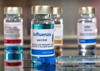 Vacunas para influenza estarán disponibles en otoño; hermetismo en torno a las de Covid