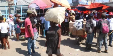 Autoridades anuncian medidas de seguridad ante sospecha de brote de Ántrax en Haití