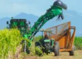 Central Romana culmina zafra con una producción de 287,565 toneladas de azúcar