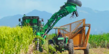 Central Romana culmina zafra con una producción de 287,565 toneladas de azúcar