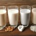 Leche Vegetal: la OMS alerta sobre el peligro de esta nueva tendencia