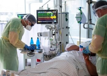 EE.UU. identifica 21 casos de fiebre de Oropouche en viajeros procedentes de Cuba