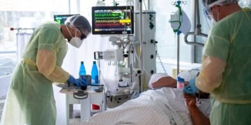 EE.UU. identifica 21 casos de fiebre de Oropouche en viajeros procedentes de Cuba