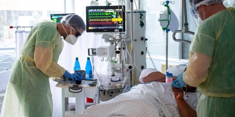 EE.UU. identifica 21 casos de fiebre de Oropouche en viajeros procedentes de Cuba