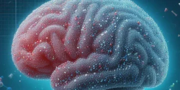 El cerebro humano está compuesto actualmente por un 0,5 % de plástico