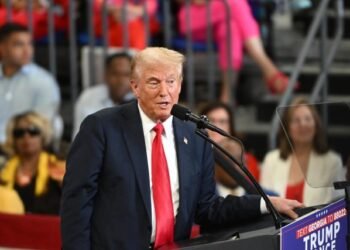 Unión Europea acusada de injerencia electoral en los Estados Unidos