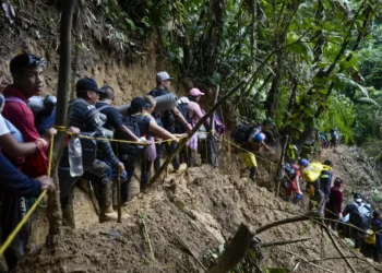 Más de 230.000 migrantes han cruzado el Darién este año y el 66 % de ellos son venezolanos