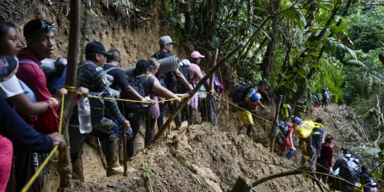 Más de 230.000 migrantes han cruzado el Darién este año y el 66 % de ellos son venezolanos