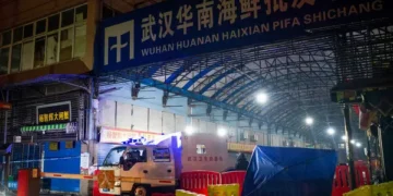 Hallazgos sobre el posible origen animal del COVID-19 apuntan a perros mapaches y civetas