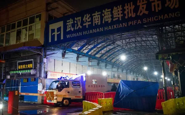 Hallazgos sobre el posible origen animal del COVID-19 apuntan a perros mapaches y civetas