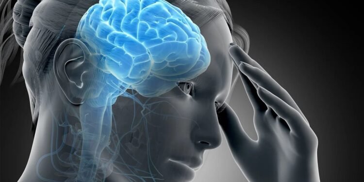 Las medidas restrictivas aplicadas durante la pandemia de la covid-19 aceleraron el desarrollo cerebral de los adolescentes, especialmente el de las chicas: Según un estudio