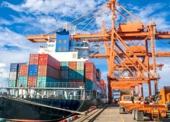 Los bienes de consumo dominan importaciones entre enero y julio 2024