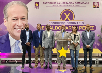 PLD advierte sobre crisis en el sector eléctrico y propone soluciones urgentes