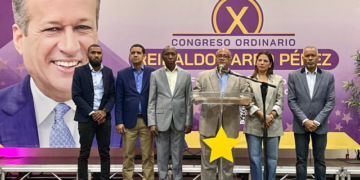 PLD advierte sobre crisis en el sector eléctrico y propone soluciones urgentes