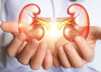 ¿Cómo puede la hipertensión arterial perjudicar la función de tus riñones?