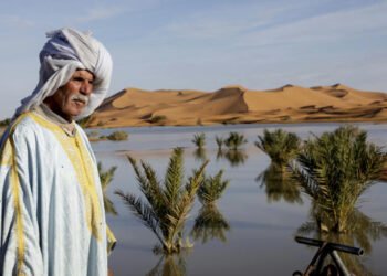 Lluvias torrenciales devuelven la vida al desierto del Sáhara en Marruecos