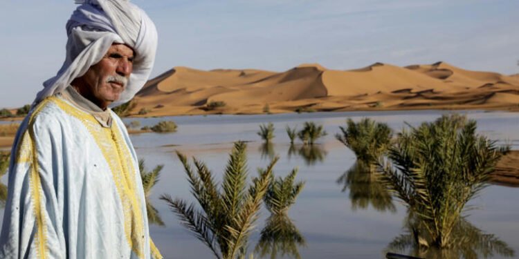 Lluvias torrenciales devuelven la vida al desierto del Sáhara en Marruecos
