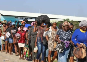 Empresarios piden haya transparencia con Haití