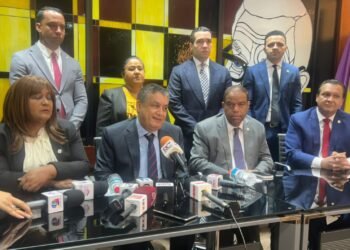 PLD: reitera reforma a la Constitución es innecesaria