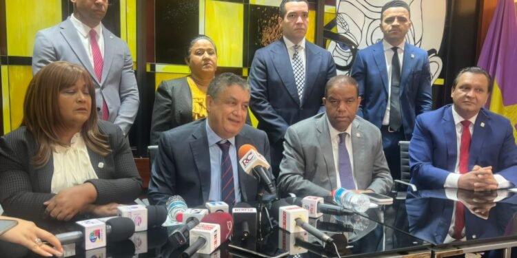 PLD: reitera reforma a la Constitución es innecesaria