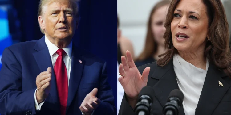 269 a 269: ¿Qué pasa si Harris y Trump empatan en las elecciones?