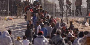 EE.UU. recibió 5,8 millones de migrantes bajo el gobierno de Biden, revela informe