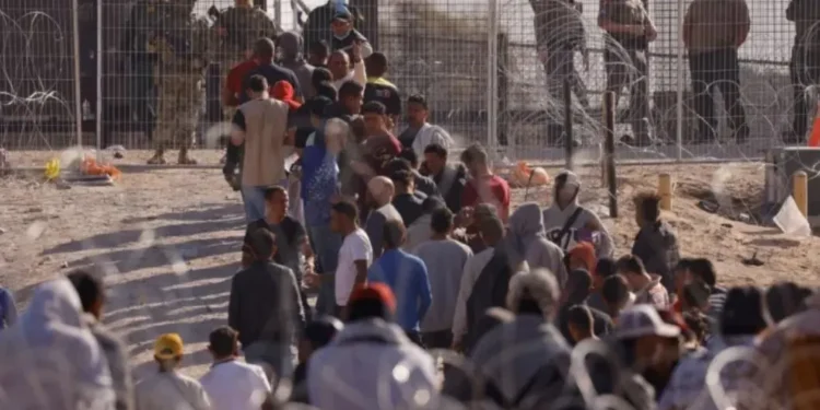 EE.UU. recibió 5,8 millones de migrantes bajo el gobierno de Biden, revela informe