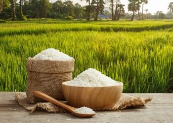 Protección a producción de arroz podría causar tensión internacional