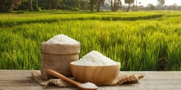 Protección a producción de arroz podría causar tensión internacional