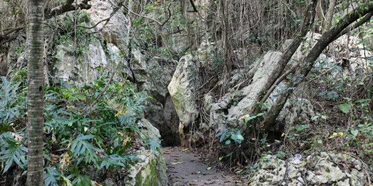 Medio Ambiente comprueba daños en las Cuevas del Pomier